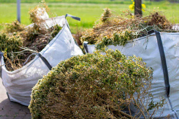 Full-Service Junk Removal in Bear Rocks, PA